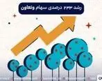 رشد 233 درصدی سرمایه «وتعاون»
