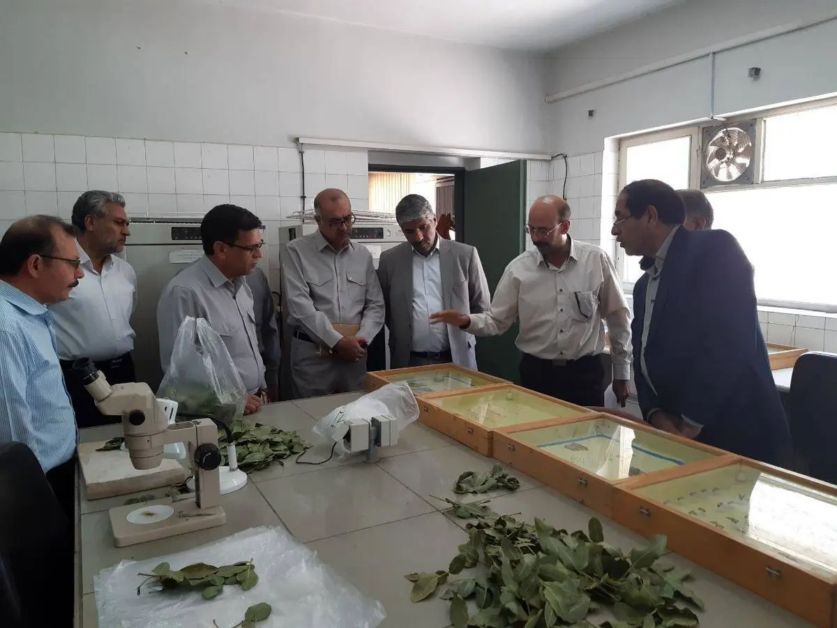 راه اندازی مخازن ذخیره اسید مجتمع مس سرچشمه در رفسنجان تا پایان سال جاری