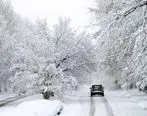 سهمگین ترین برف ایران | بارش برف جان 4000 ایرانی را گرفت