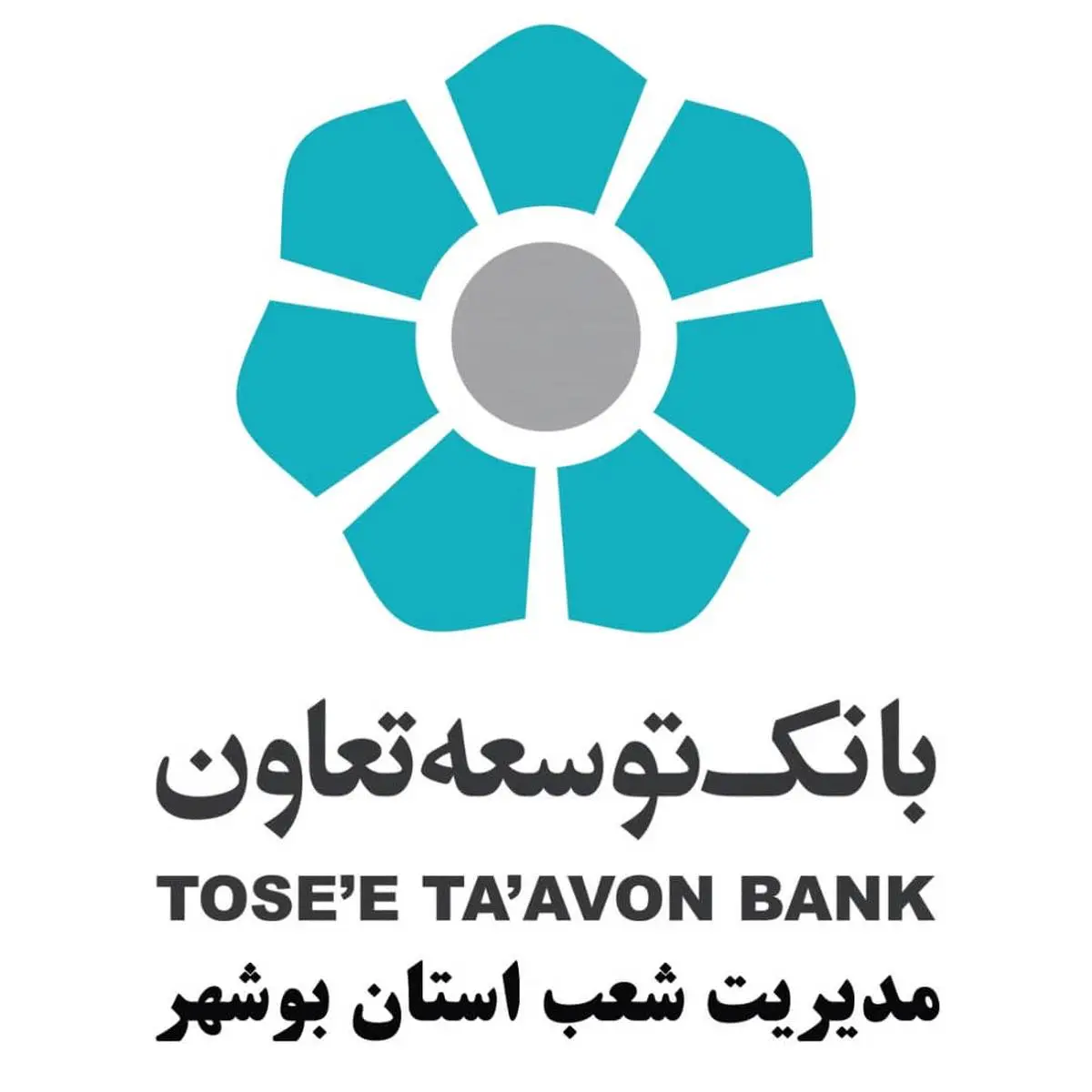 اعطای بیش از 2600 فقره تسهیلات توسط بانک توسعه تعاون استان بوشهر   
