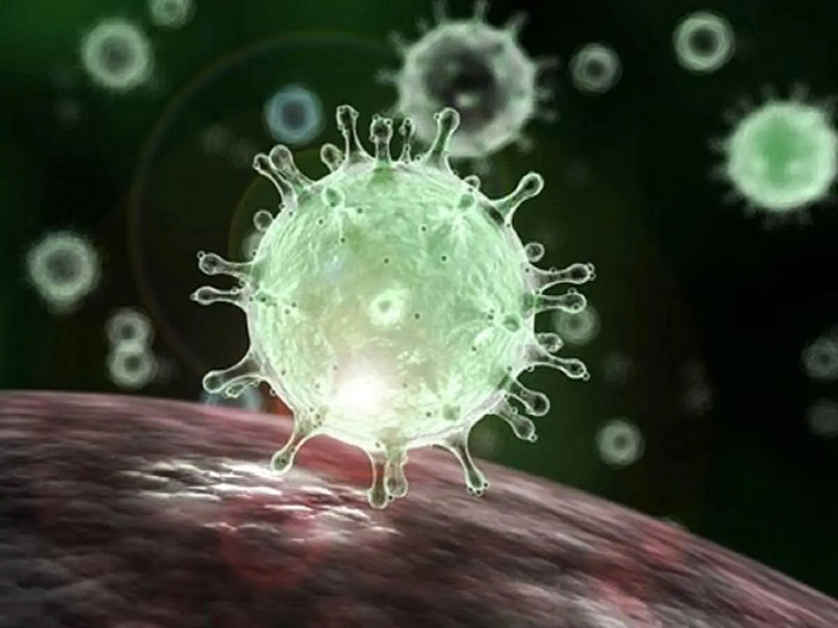 ویروس کرونا | کدام اندام‌ها را درگیر می‌کند؟