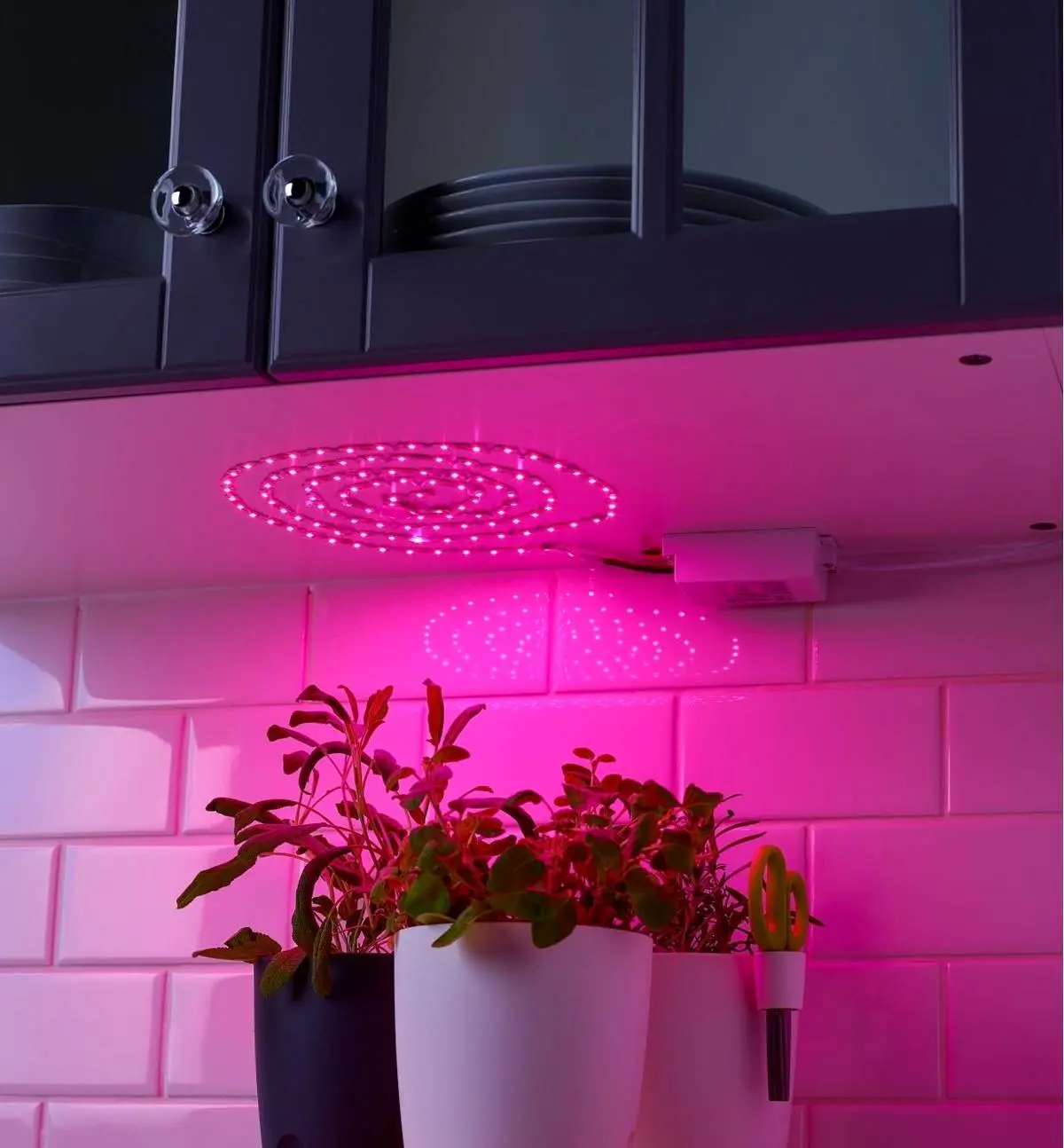 راهنمای خرید لامپ رشد گیاه فول اسپکتروم (لامپ ال ای دی با طیف کامل نور)
