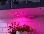 راهنمای خرید لامپ رشد گیاه فول اسپکتروم (لامپ ال ای دی با طیف کامل نور)
