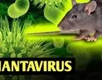 هانتا ویروس چیست + علائم