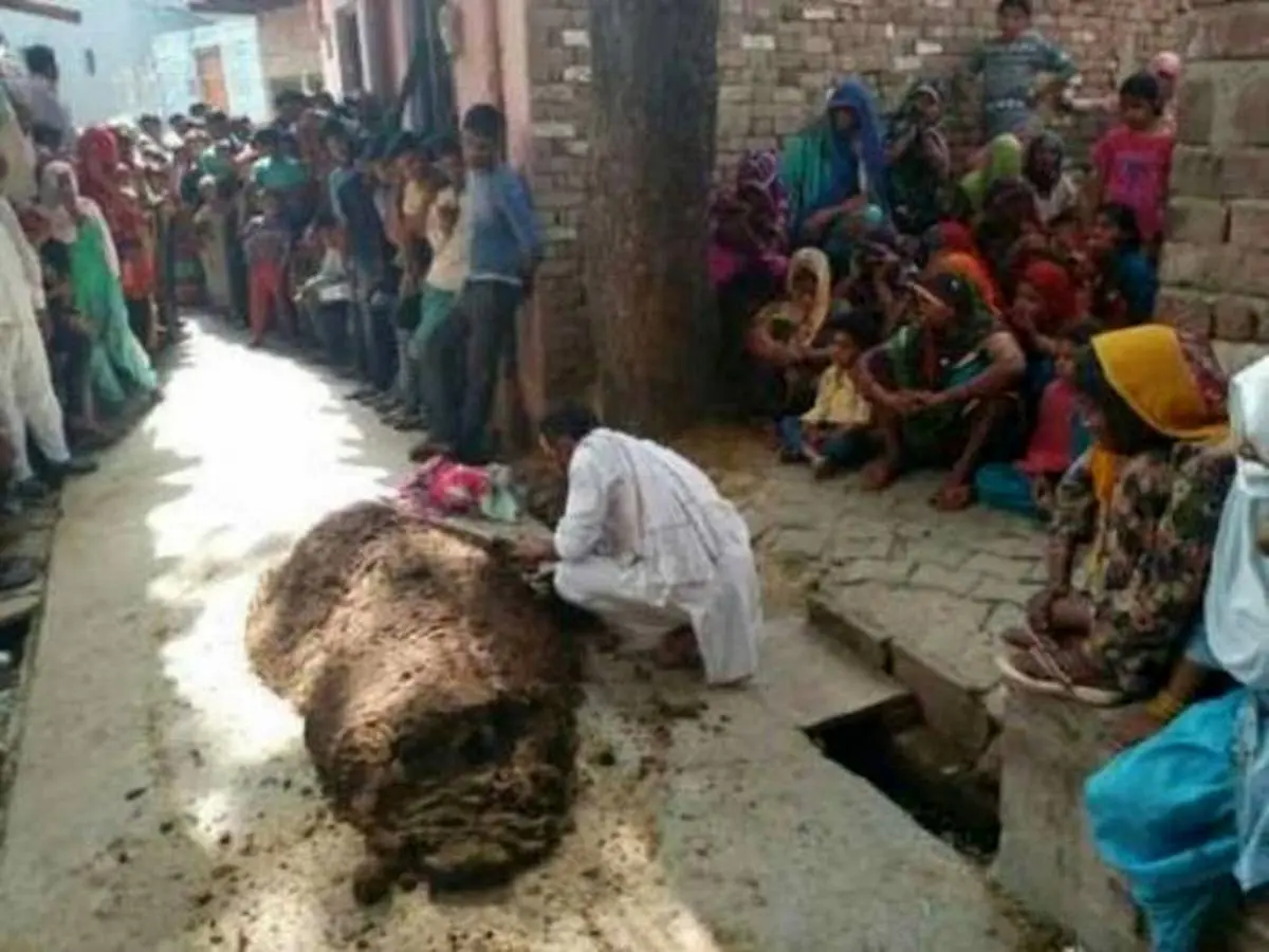 ماجرای باورنکردنی مردی که زنش را زیر کود گاوی دفن کرد