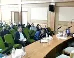 تعدد قوانین در حوزه ریسک به بخش اجرایی لطمه وارد می کند