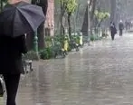 هواشناسی/ بارش باران در 15 استان