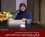 گل گهر در توسعه امروز و در آینده اقتصاد کشور نقش کلیدی دارد