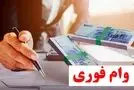 آشنایی با انواع وام های فوری + عکس