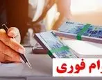 آشنایی با انواع وام های فوری + عکس