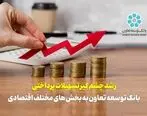 رشد چشم گیر تسهیلات پرداختی بانک توسعه تعاون به بخش های مختلف اقتصادی