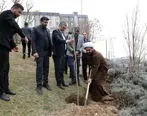  کاشت نهال درخت به مناسبت روز درختکاری توسط مدیران و کارکنان هلدینگ صباانرژی