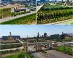 سرمایه‌گذاری ۵۰ میلیارد تومانی «ارفع» در توسعه فضای سبز صنعتی