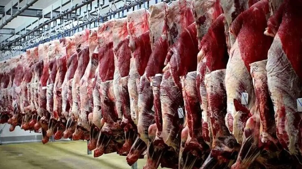 گران فروشی گوشت ممنوع | قیمت مصوب گوشت اعلام شد 