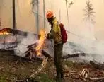  گسترش آتش سوزی ها در جنگل های شرقی روسیه

