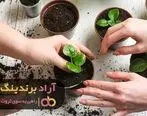 کود به زندگی من روشنایی بخشید