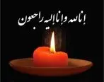 پیام تسلیت معاون مطبوعاتی برای درگذشت مدیرمسئول روزنامه «آرمان ملی»