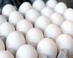 قیمت جدید تخم مرغ اعلام شد | تخم مرغ چند شده؟