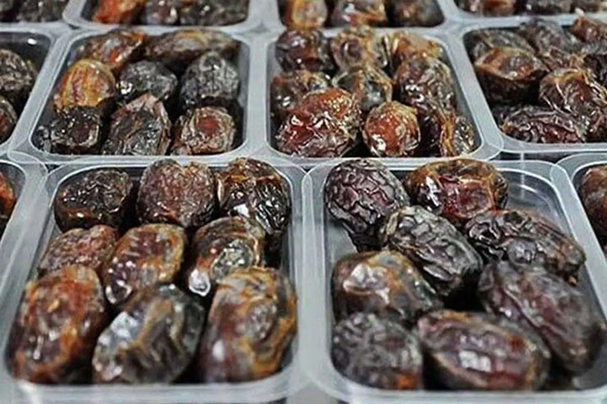 قیمت های جدید خرما در بازار | لیست قیمت خرما برای ماه مبارک رمضان