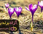 4 راه برای ایجاد یک ذهن ثروت ساز