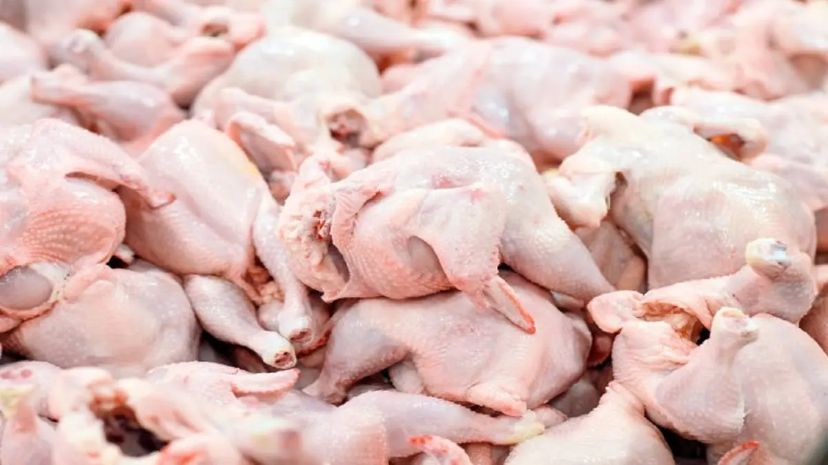 فروش مرغ کم شد | قیمت مرغ در بازار پنجشنبه 29 اردیهشت ماه