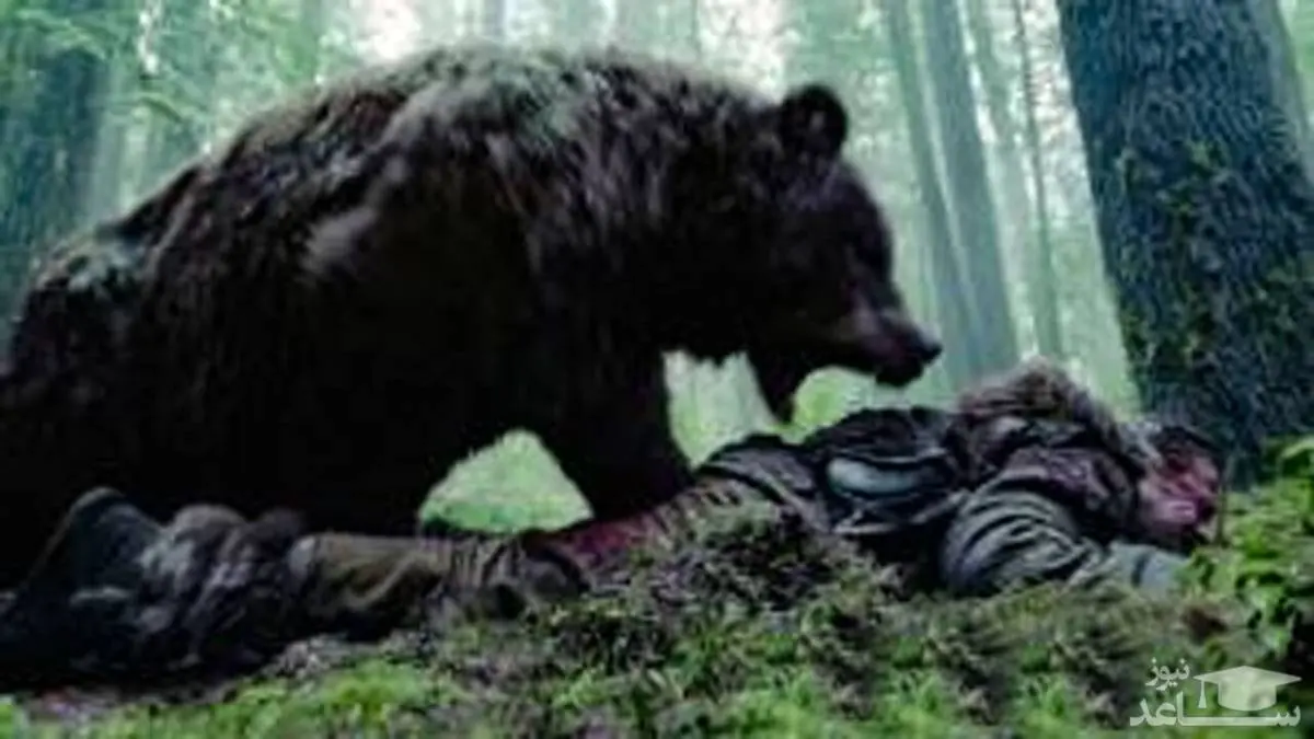 حمله خرس سیاه به غذای این مادر و پسر + فیلم