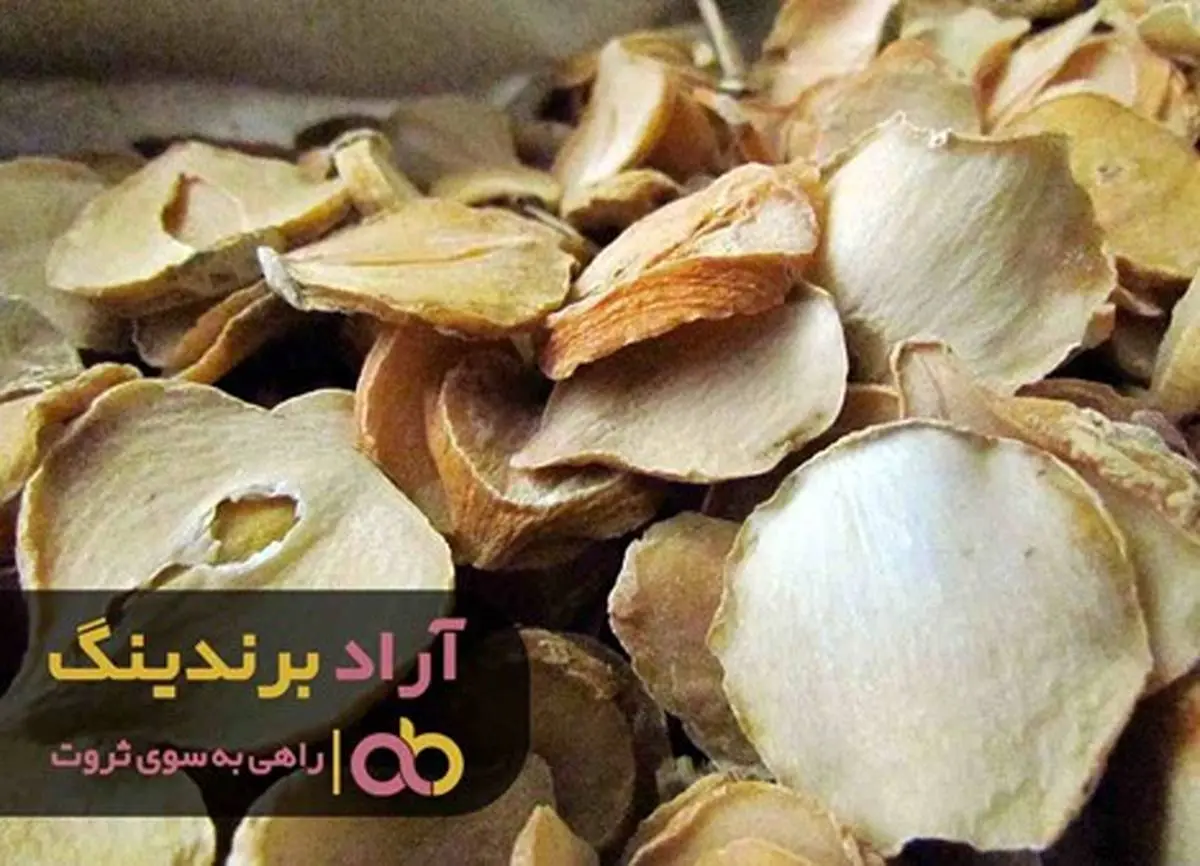 من با سیر توانستم میلیونر شوم
