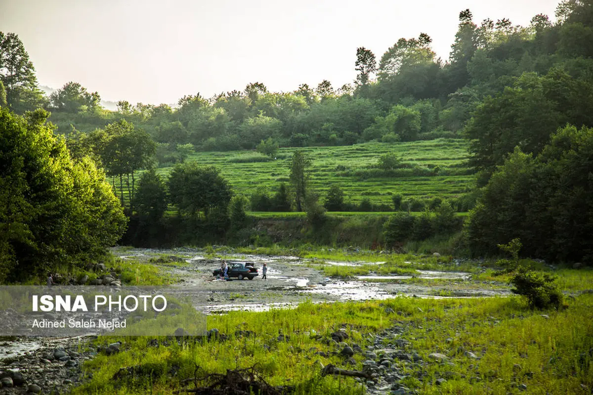 تصاویر/ خشک شدن رودخانه‌ها و شالیزارها در لنگرود