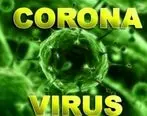 ارائه آموزش ها و اقدامات پیشگیرانه در مقابله با ویروس کرونا