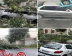 هشدار درباره وقوع طوفان و صاعقه در تهران