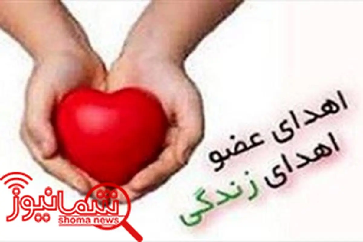 قلب زائر پیاده امام رضا (ع) اهدا شد