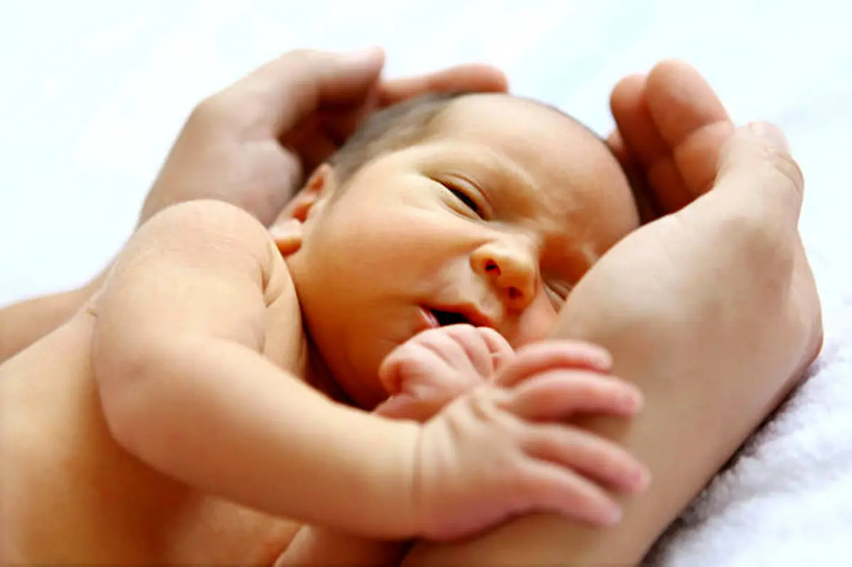 آخرین آمار ثبت احوال از ولادت و وفات