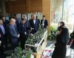 بازدید رئیس کمیته امداد امام خمینی (ره) از نمایشگاه دستاورد‌های تسهیلات خوداشتغالی بانک کشاورزی