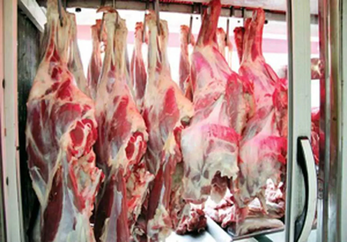 واردات انبوه گوشت در راه است