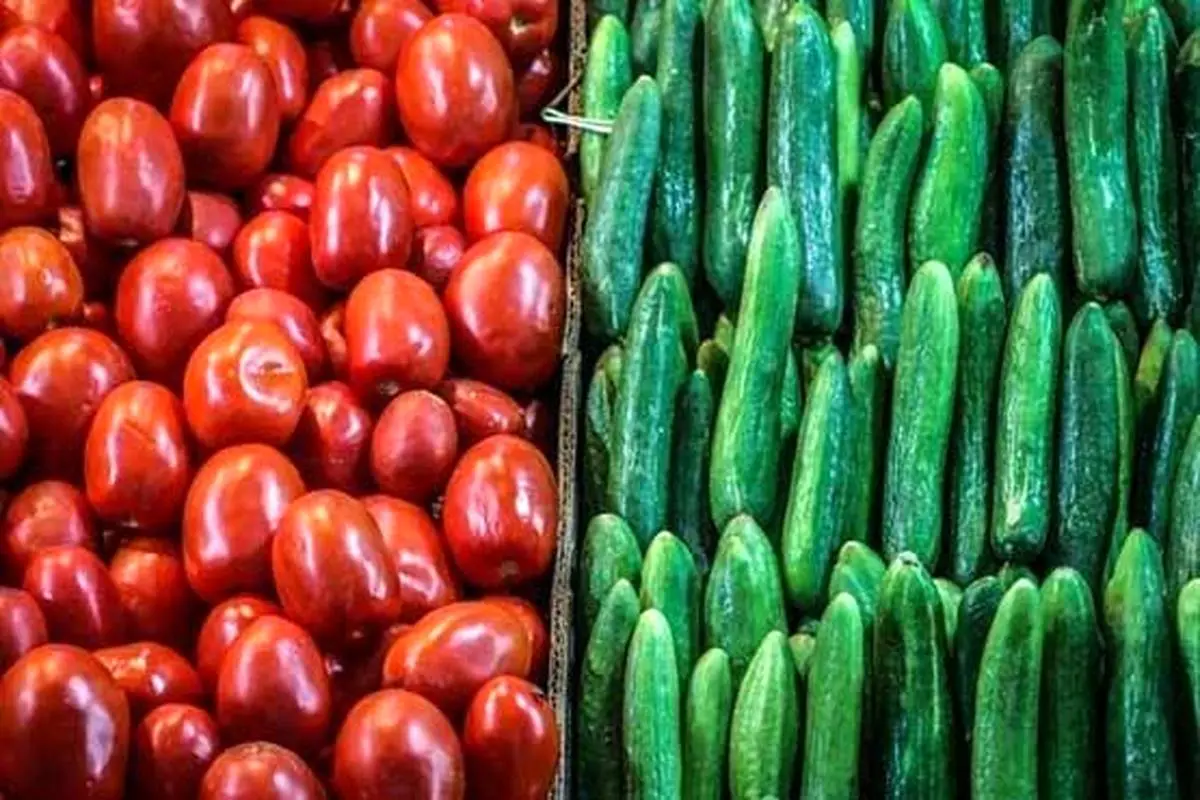 افزایش قیمت خیار و گوجه در ماه رمضان | آخرین قیمت خیار و گوجه در تره بار
